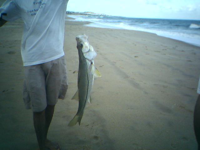 Robalo em Tabatinga/RN