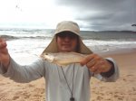 Perna-de-moça na praia do Paiva