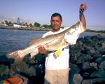 Bonito Robalo Pescado no Janga.