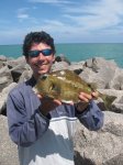 Peixe-cofre - Jorge Thiago (1o Lugar)