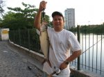 Tarpon no capiba