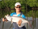 Baby-Tarpon - Rio Paraíba