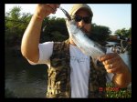 bABY Tarpon