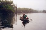 Pescador de pirarucú