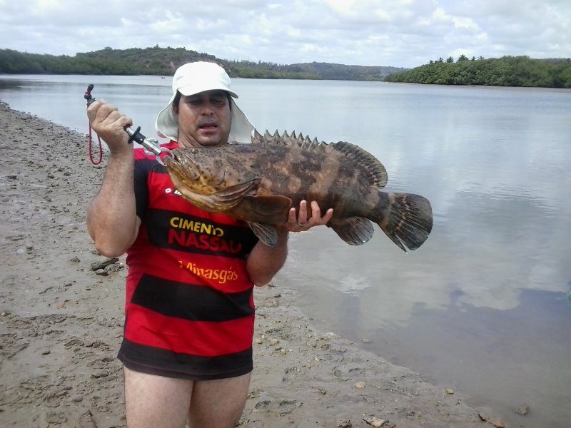 Imagem