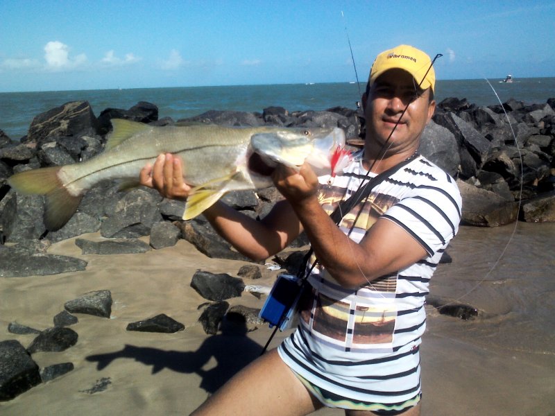 Imagem