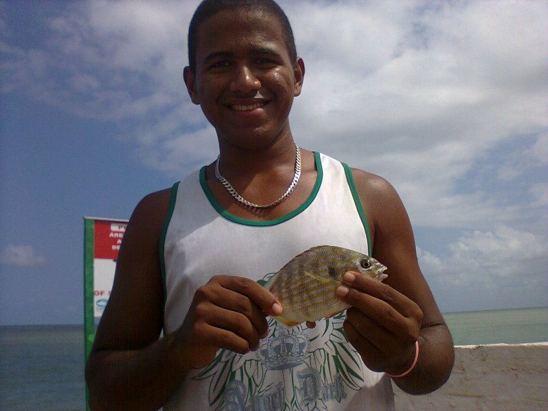 Imagem