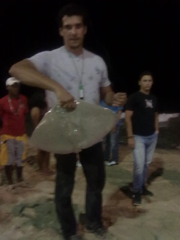 Imagem