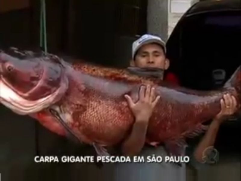 Imagem