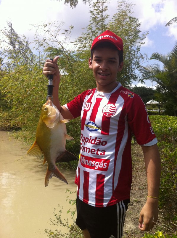 Imagem
