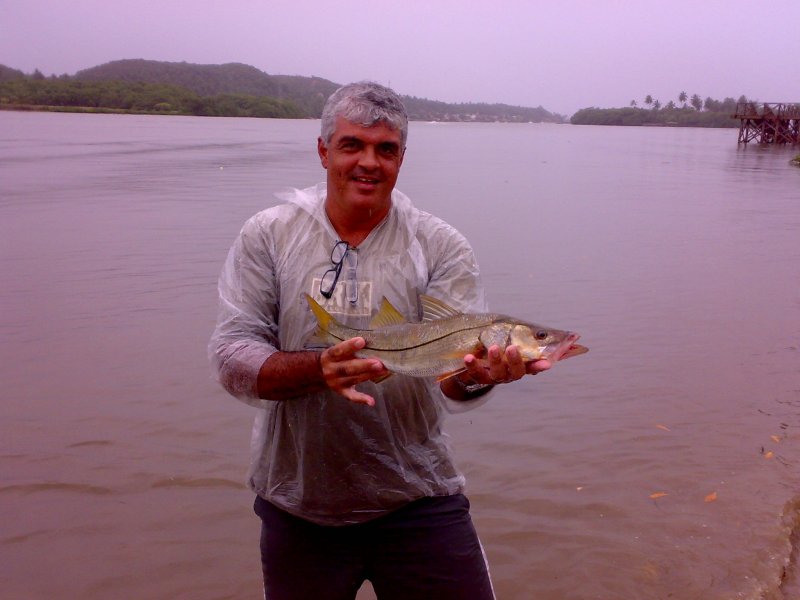 Imagem