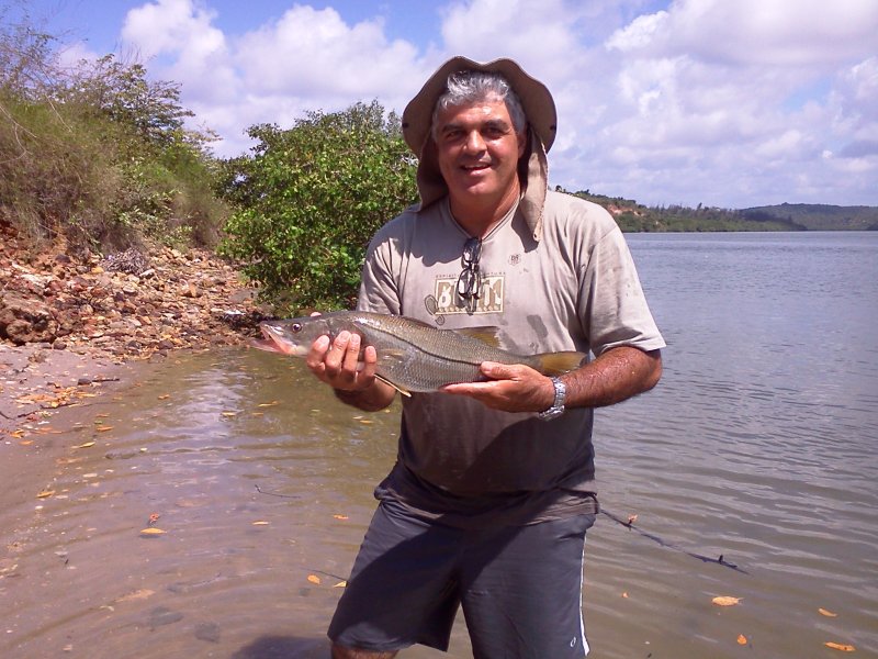 Imagem