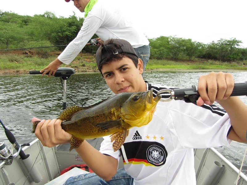 Imagem
