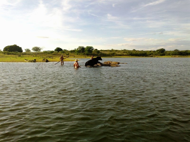 Imagem