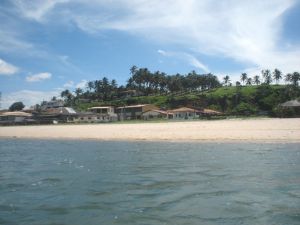 Image Image