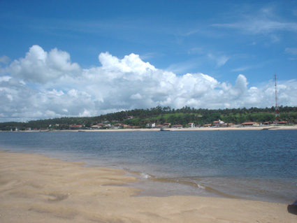 Image Image