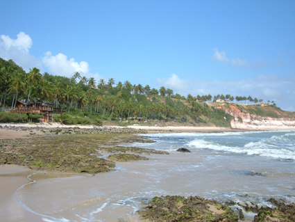 Image Image