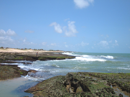 Image Image