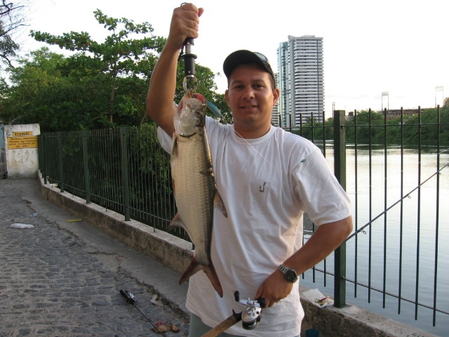 Tarpon no capiba