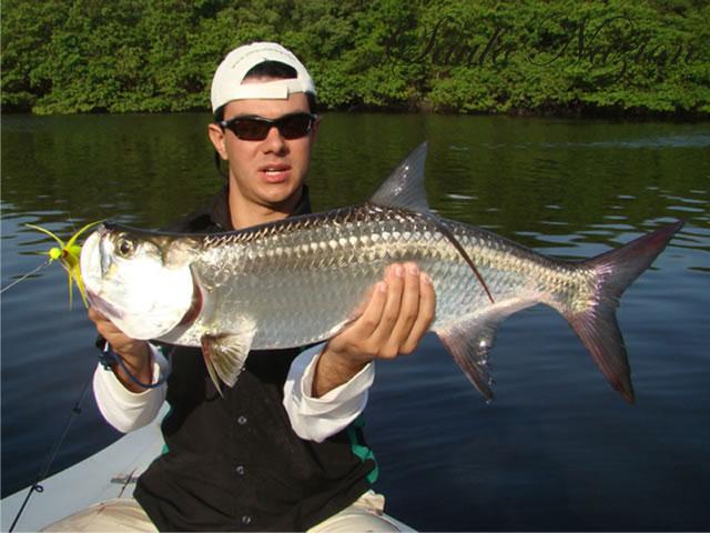 Baby-Tarpon - Rio Paraíba